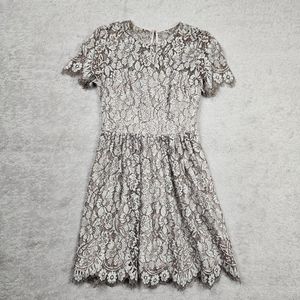 Eliza J Lace Mini Dress in Cream and Brown